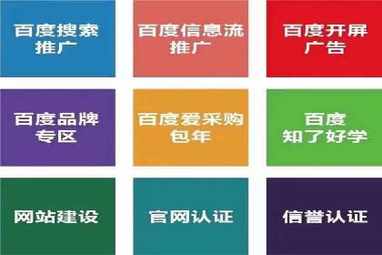 百度SEO推广公司经典之作：打造行业领先品牌